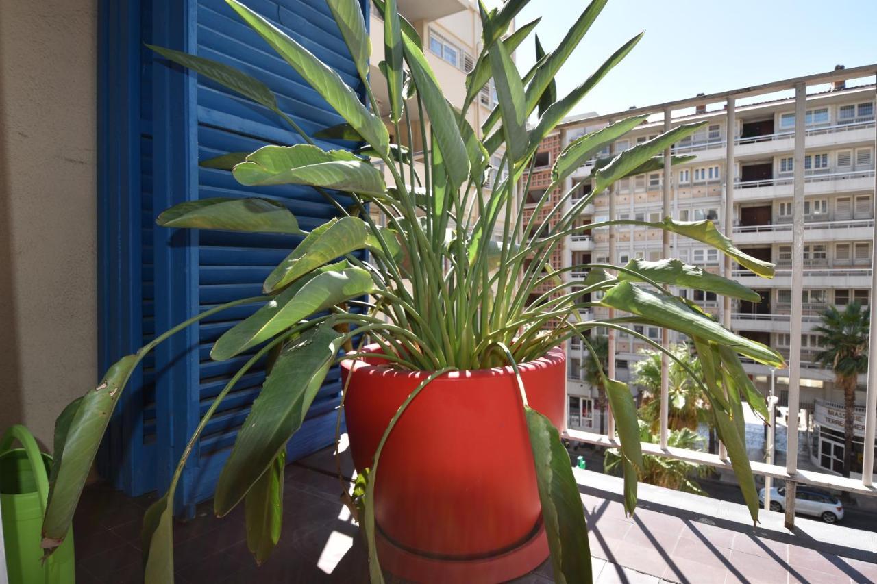 Le Gambetta Apartment Toulon Luaran gambar